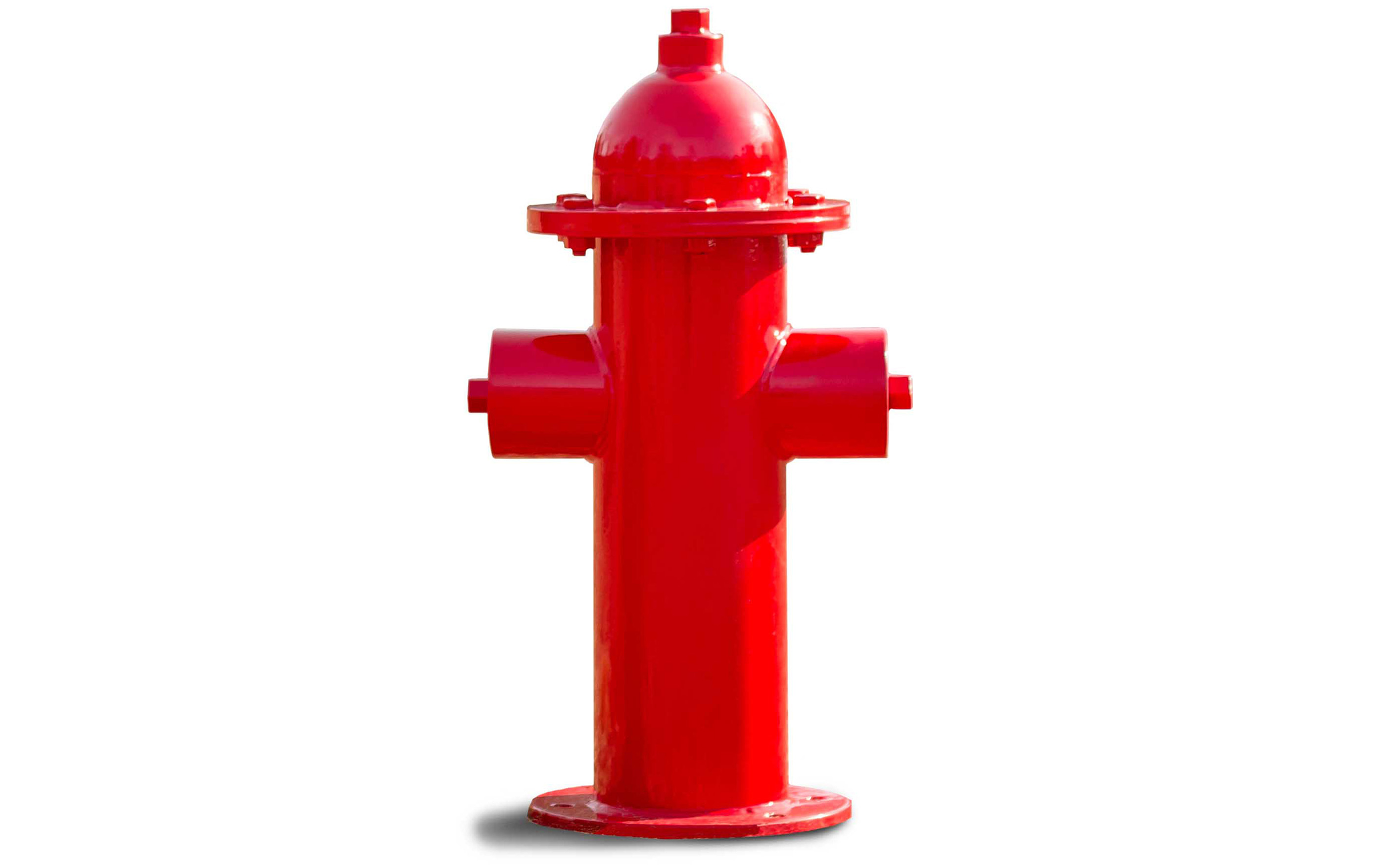 Dog Park Fire Hydrant