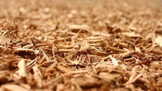 Engineered Wood Fiber